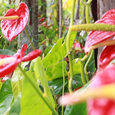 La Kaz Fleur Vanille Saint-Benoît Exteriör bild